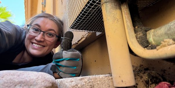 Wildlife Trapping & Exclusion