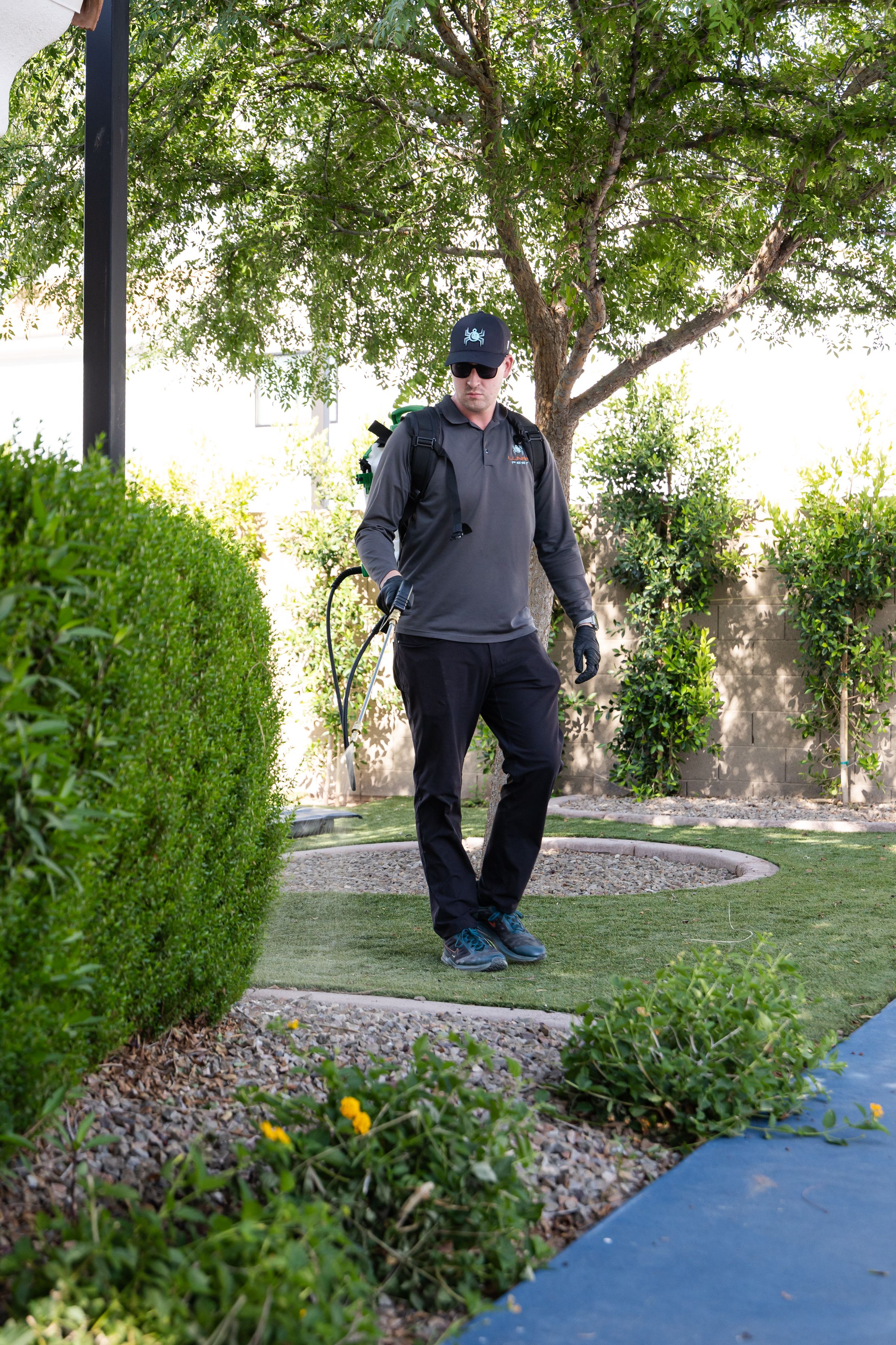 Bird prevention tips