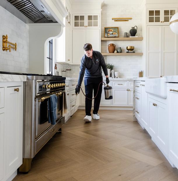 Interior Pest Control in Gilbert
