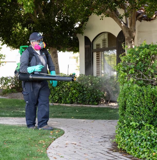 Exterminator services in Gilbert