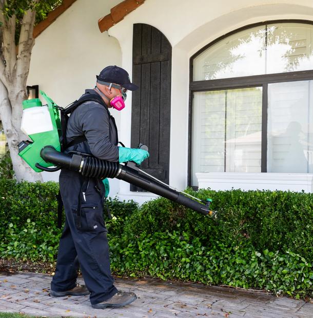 Thorough General Pest Control in Apache Junction