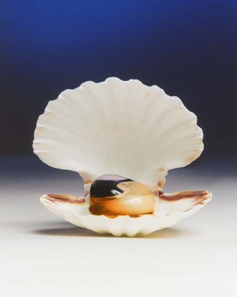 Dissolve, image 7