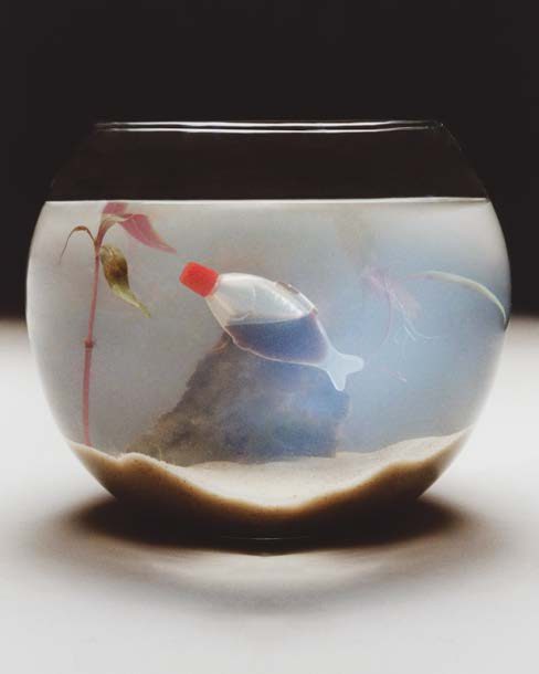Dissolve, image 2