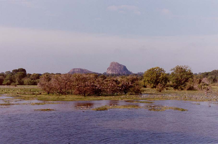 Dissolve, image 4