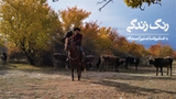 رنگ زندگی - آسیای مرکزی