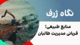 نگاه ژرف: منابع طبیعی، قربانی مدیریت طالبان