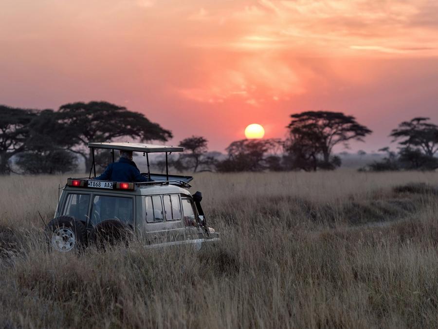 Family-Friendly Wildlife Activities for School Break in Sri Lanka