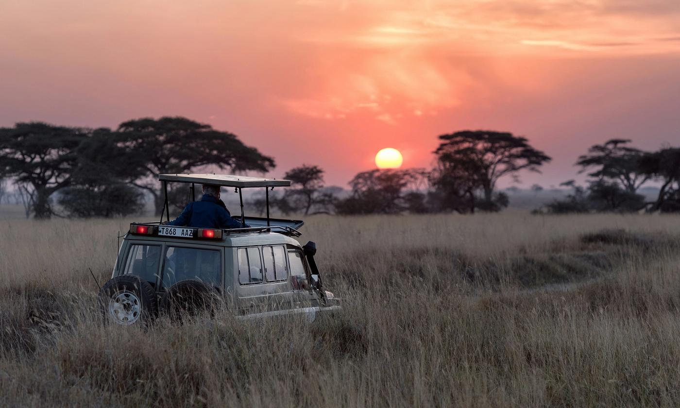 Family-Friendly Wildlife Activities for School Break in Sri Lanka