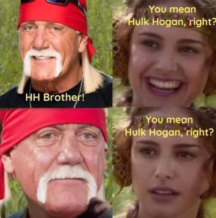 Un mème "pour le mieux" montrant Hulk Hogan comme Anakin, disant "HH Brother", auquel Padmé répond "Tu veux dire Hulk Hogan, n'est-ce pas?".