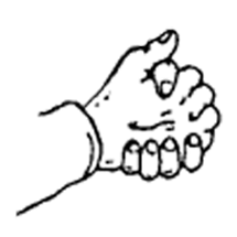 Clasped Hands