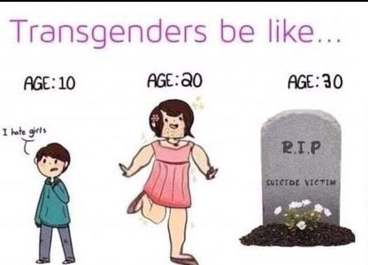 "Les transgenres sont comme..." au-dessus de trois illustrations. A gauche : "AGE : 10", un jeune garçon dit "Je déteste les filles". Au centre : « AGE : 20 », une femme avec des poils sur le visage vêtue d'une robe rose. À droite : "ÂGE : 30 ans", une pierre tombale indiquant "R.I.P. SUICIDE VICTIM".
