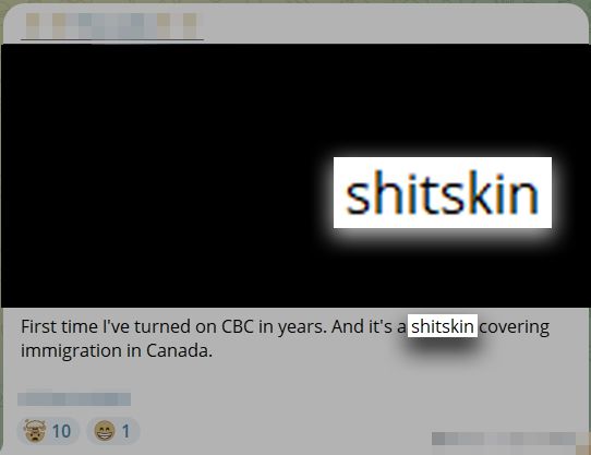 Capture d'écran d'un article de Telegram. L'image est captée. La légende se lit comme suit : "La première fois que j'allume CBC depuis des années. Et c'est une merde couvrant l'immigration au Canada. "Shitskin" est mis en évidence.