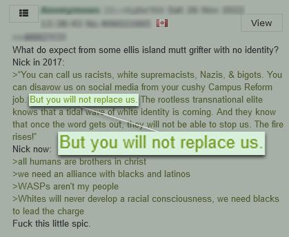 Une capture d'écran d'un message de forum dénonçant les "élites transnationales sans racines", ainsi que les mots "Mais vous ne nous remplacerez pas".
