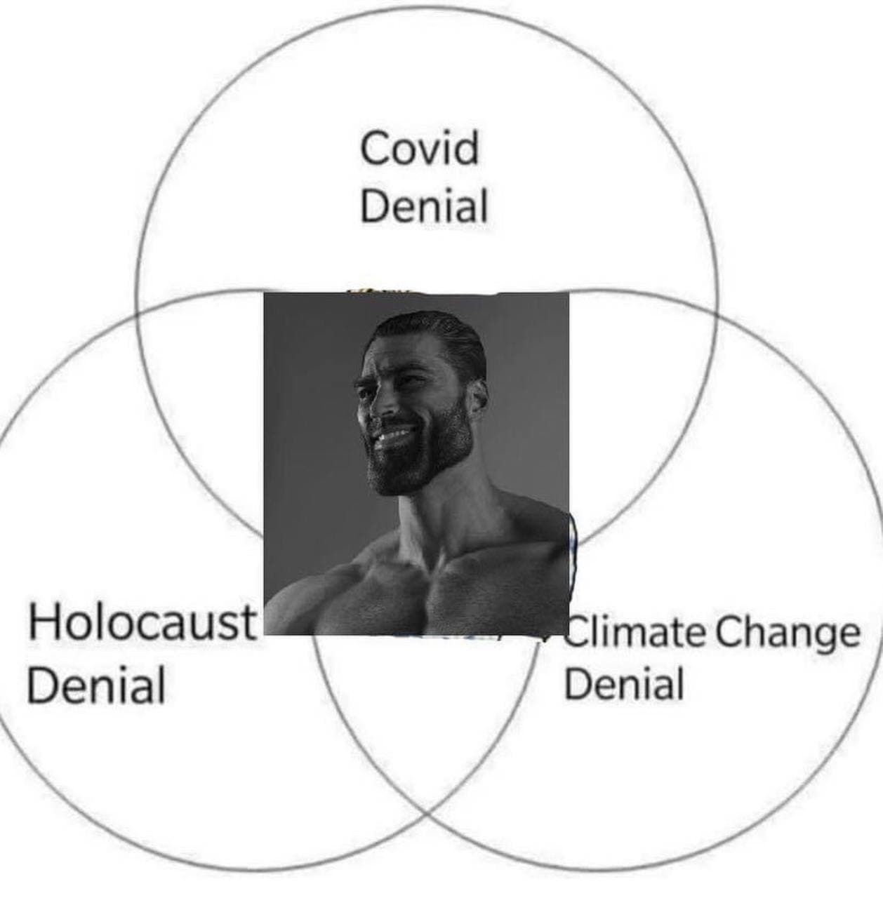 Un diagramme de Venn avec trois cercles, qui sont étiquetés « déni de l'Holocauste », « déni du COVID » et « déni du changement climatique ». Au milieu se trouve un homme souriant avec un menton grotequement large et un long cou.