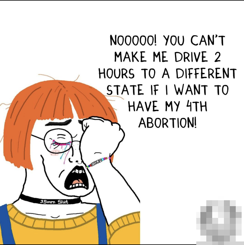 A crying art hoe wojak who says 'Noooo! You can't make me drive 2 hours to a different state if I want to have my 4th abortion.'