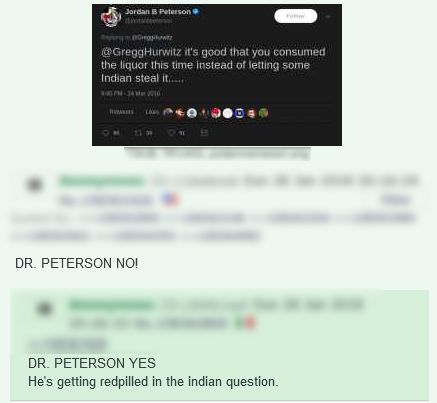 Capture d'écran du tweet de Jordan Peterson posté sur 4Chan. Il se lit "@GreggHurwitz c'est bien que vous ayez consommé l'alcool cette fois au lieu de laisser un indien le voler...." Les réponses de 4Chan lisent "DR. PETERSON NON!", suivi de "DR. PETERSON OUI question."