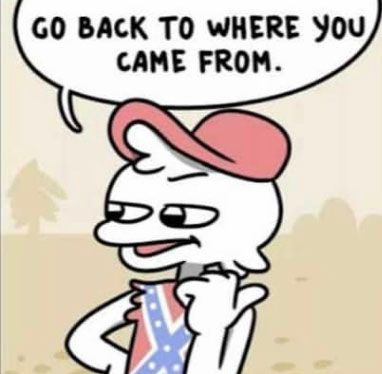Un personnage de bande dessinée Stonetoss portant une merde de drapeau confédéré, disant "Retournez d'où vous venez".