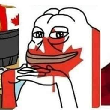 Une grenouille Groyper, le menton reposant sur ses deux mains, colorée dans les couleurs du drapeau canadien.