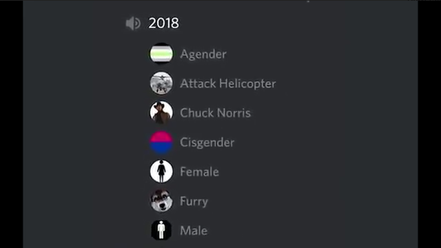 Serveur Discord avec une salle de discussion étiquetée 2018. Des dizaines d'utilisateurs se joignent à des noms tels que « agender », « hélicoptère d'attaque », « furry » et « gender fluid », entre autres.