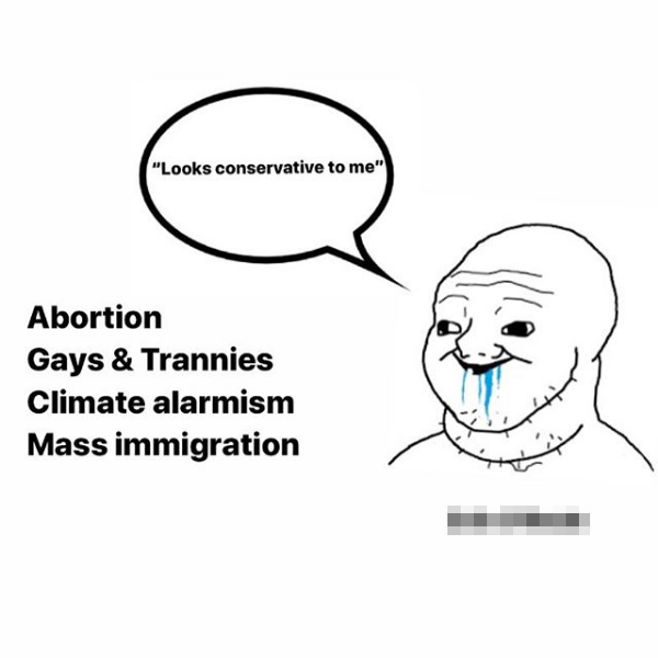 A fat brainlet wojak labelled [redacted] looks at the words 'Abortion, Gays & Trannies, Climate alarmism' and 'mass immigration' and says 'Looks conservative to me!'.