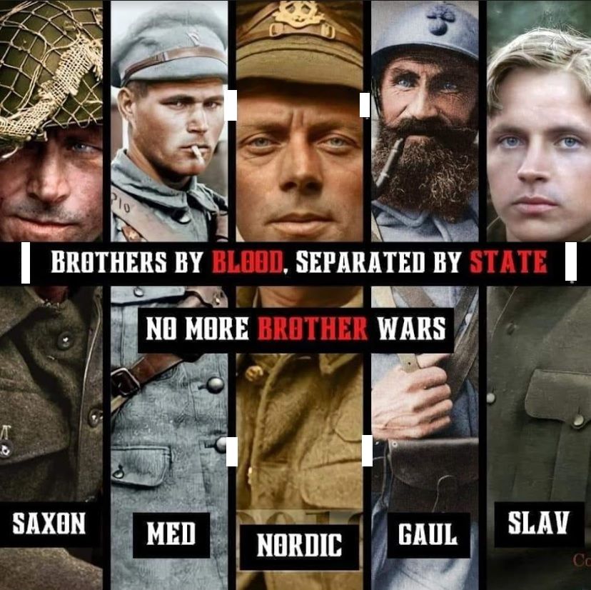 Example of a No More Brother Wars meme
