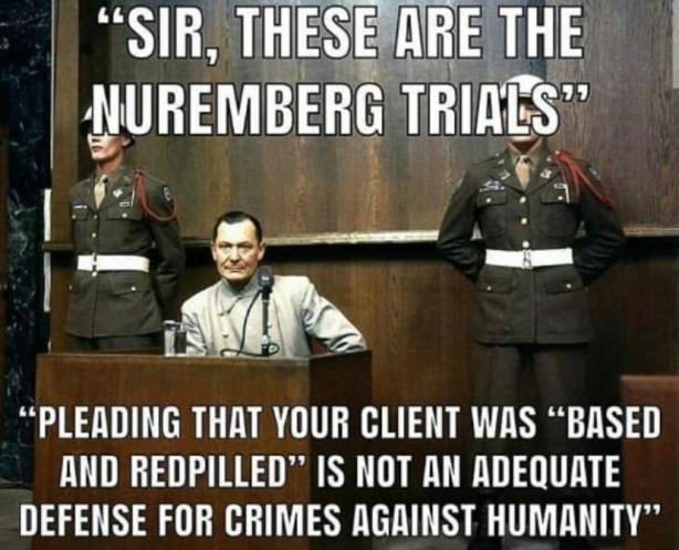 Une photo du procès de Nuremberg. Au-dessus et au-dessous, le texte indique "Monsieur, ce sont les procès de Nuremberg", et "plaider que votre client était basé et redpillé n'est pas une défense adéquate pour les crimes contre l'humanité".