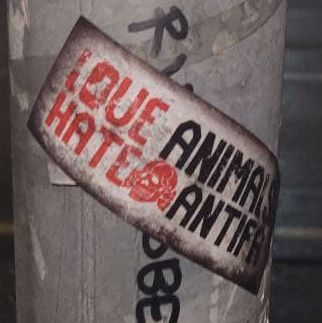 Un autocollant sur un poteau en ciment qui dit "LOVE ANIMALS HATE ANTIFA". Après le mot HATE se trouve un totenkopf SS.
