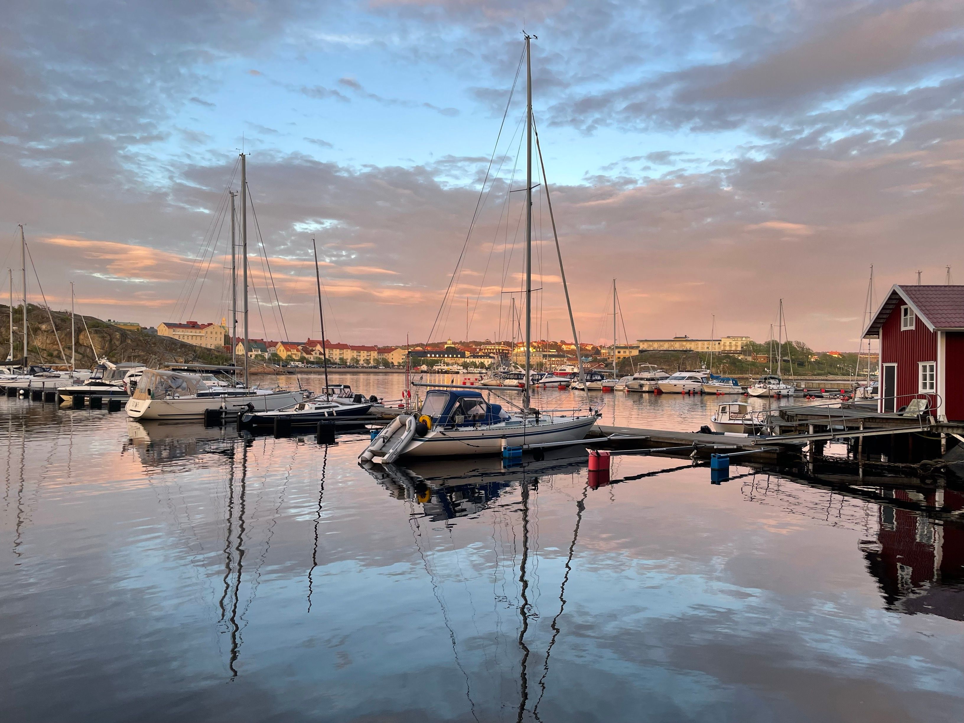 Småbåtshavn med seglbåter og sjøbod. bilde.