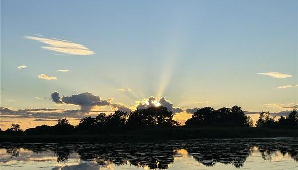 Solnedgång över sjö. Solen försvinner bakom träden på andra sidan.