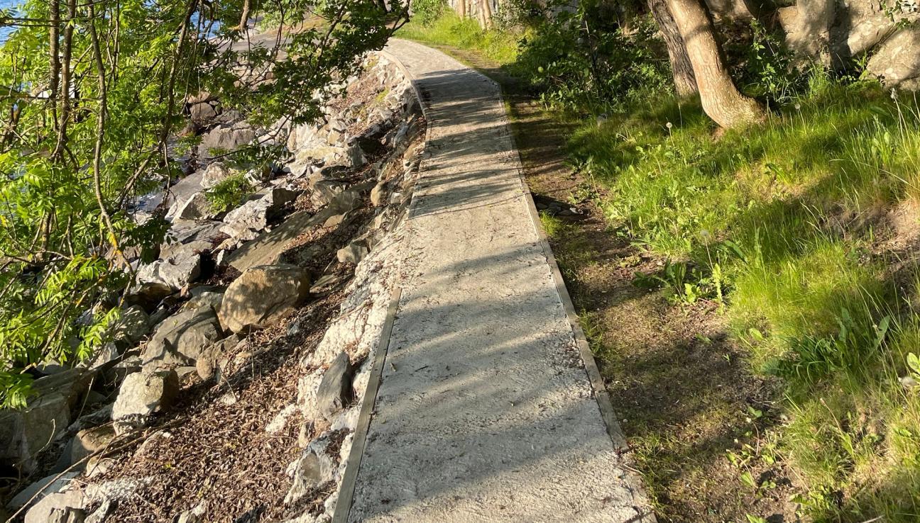 Sti ved siden av sjøen. Trær som henger ned over stien. bilde.