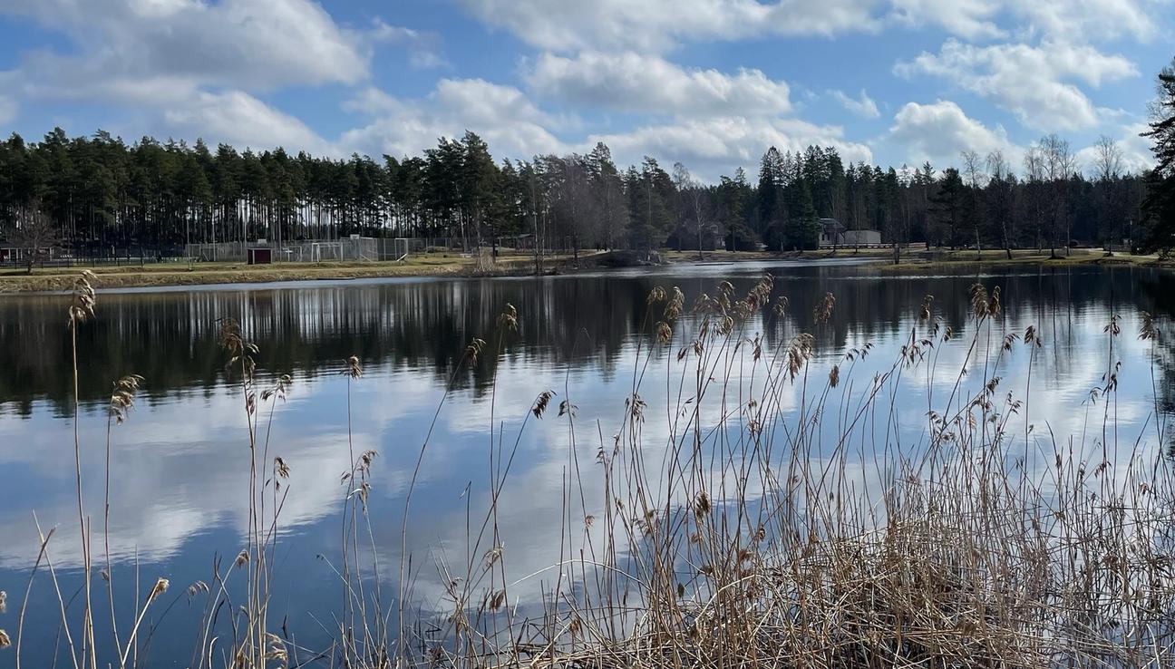 A small lake with clouds reflecting in the water