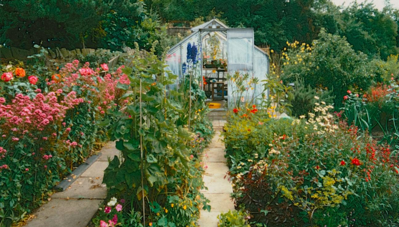 Prunkande trädgård med många blommor och ett växthus i bakgrunden