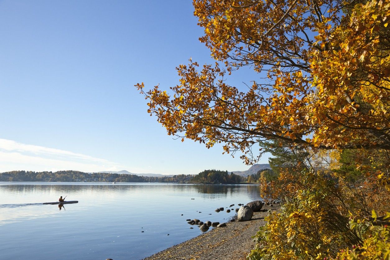 Autumn in Oslo. A kajakk on the water, and autumn colors on the tree. picture.