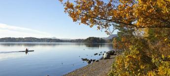 Autumn in Oslo. A kajakk on the water, and autumn colors on the tree. picture.