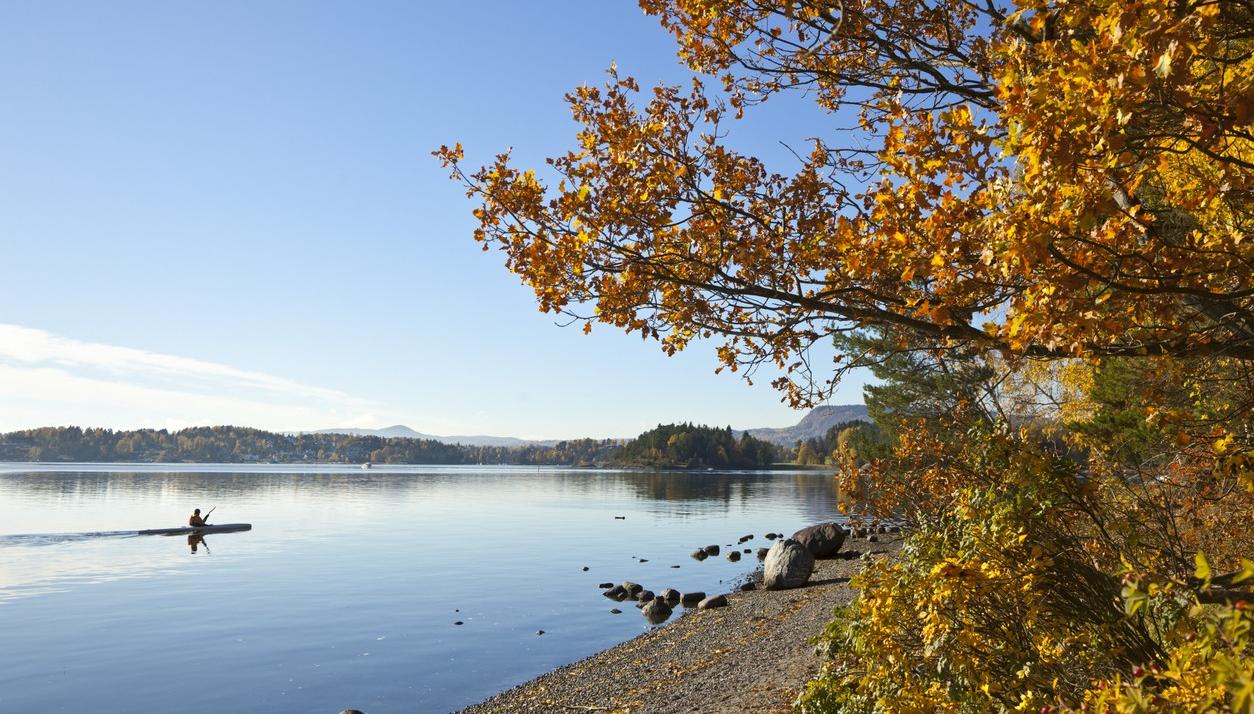 Autumn in Oslo. A kajakk on the water, and autumn colors on the tree. picture.