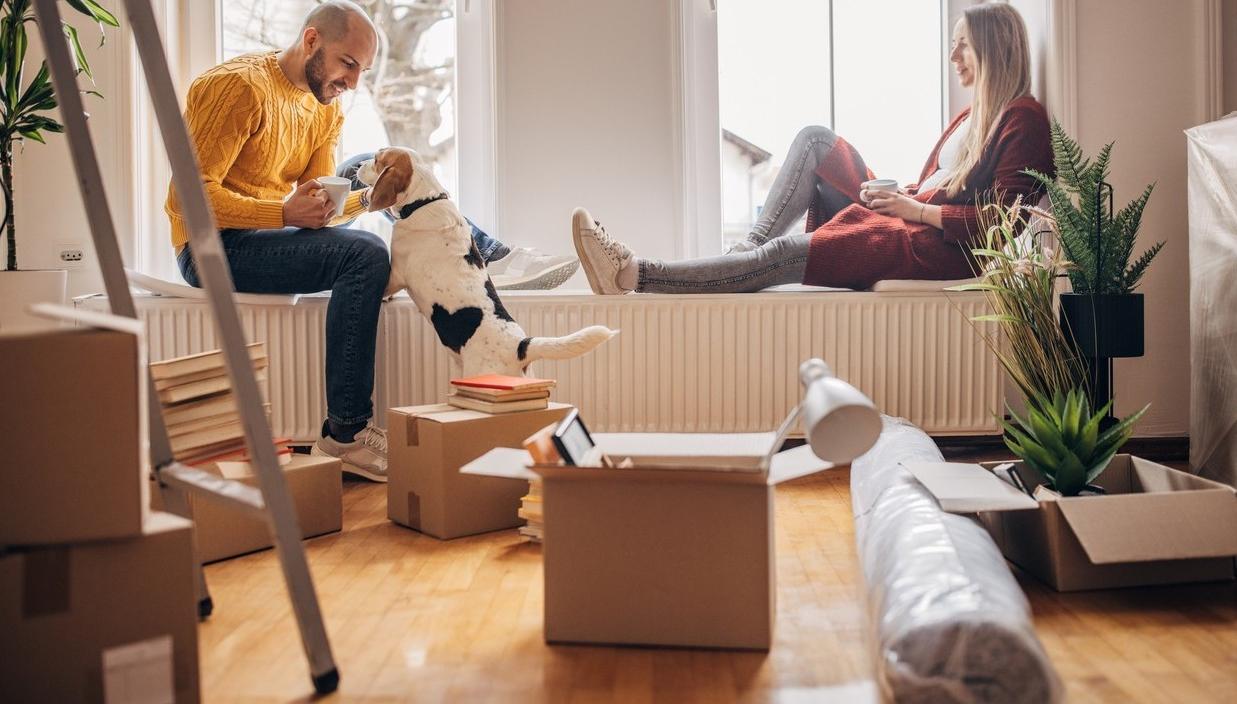 Ett par och deras hund tar en paus mitt i flytten. foto.