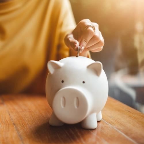 En kvinne putter penger i en sparegris. bilde.