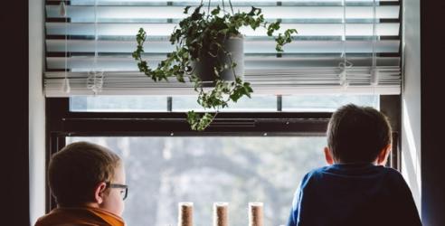 Två unga pojkar hänger över köksvasken och tittar ut genom fönstret.