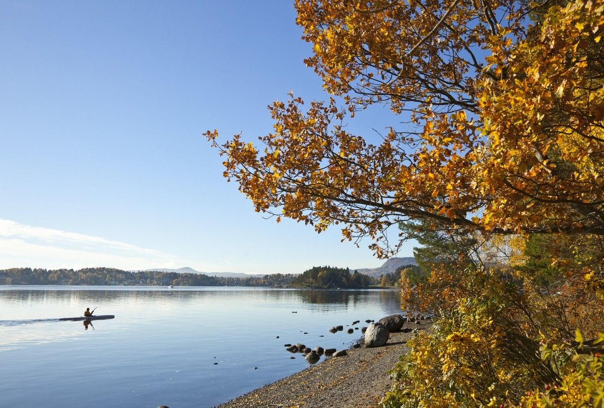Höst vid vattnet, strandkant i Oslo. foto.