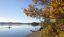 Höst vid vattnet, strandkant i Oslo. foto.