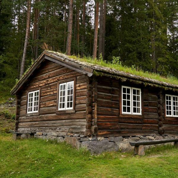 Eldre tømmerhytte ved skogen