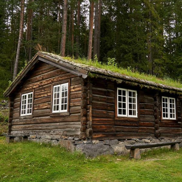 Eldre tømmerhytte ved skogen