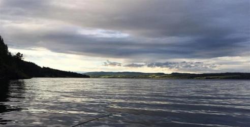 Fiskestang stikker ut over vannet. bilde.