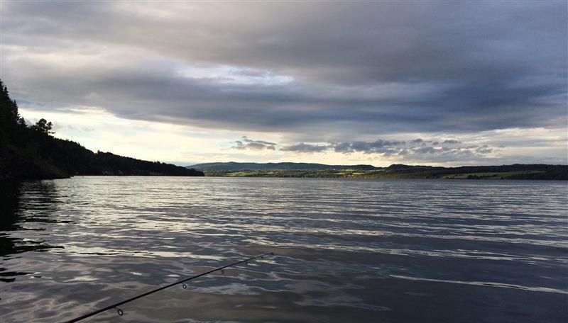 Fiskestang stikker ut over vannet. bilde.