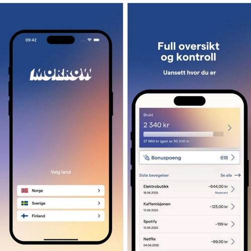 Skjermbilde av Morrow Bank app. bilde.