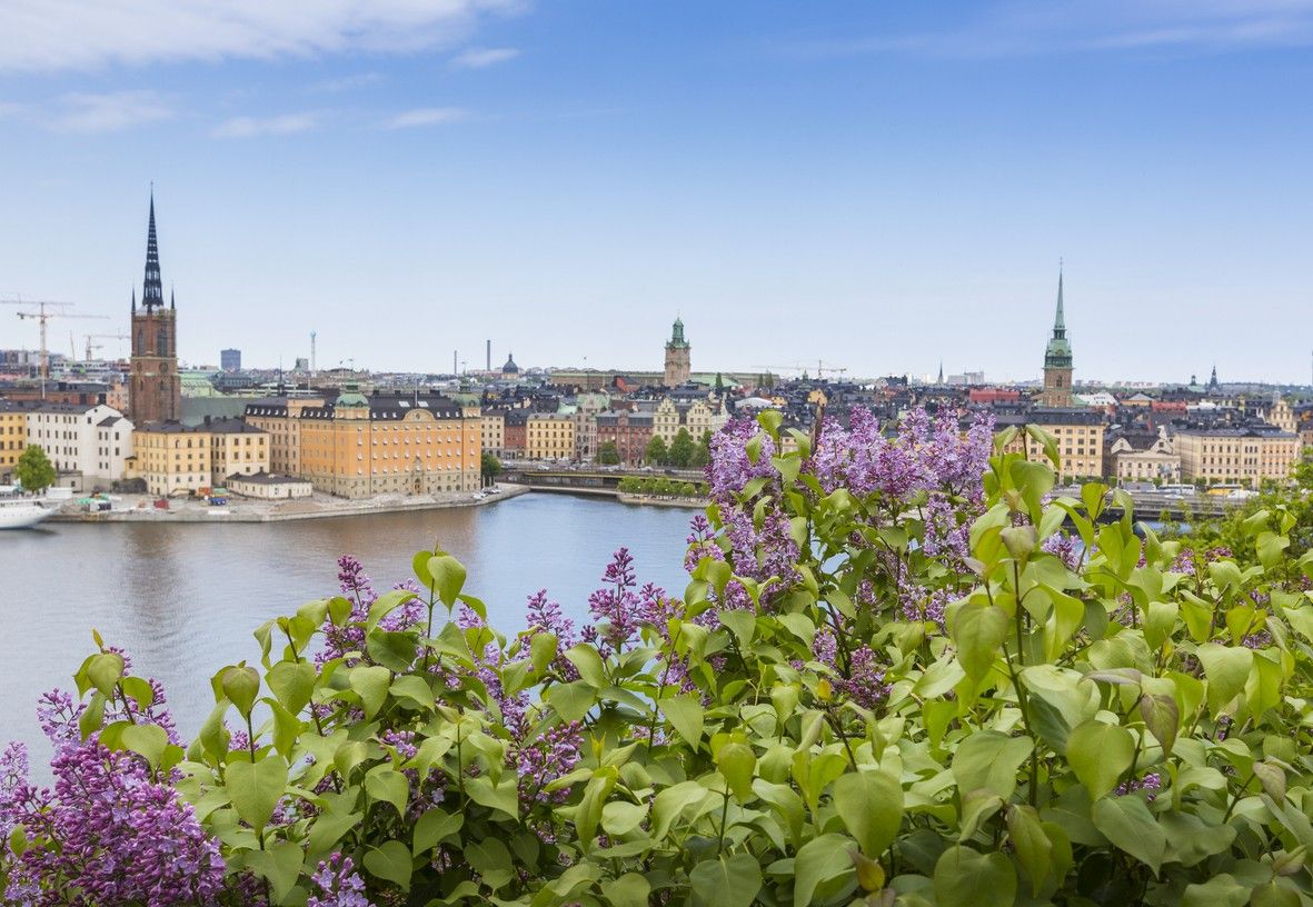 Stockholm city view in springtime. picture.