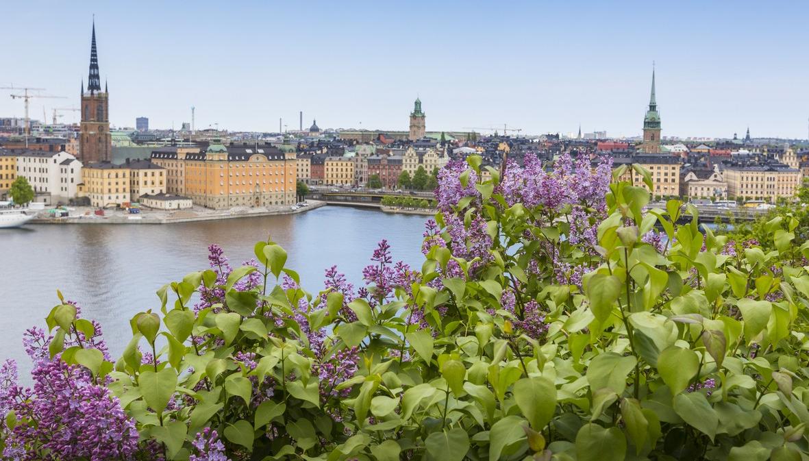 Stockholm city view in springtime. picture.