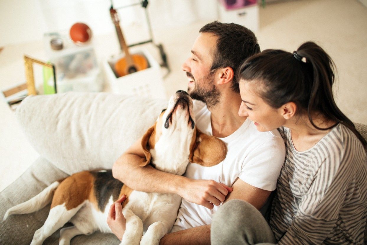 Ett par sitter i soffan med sin hund. foto.