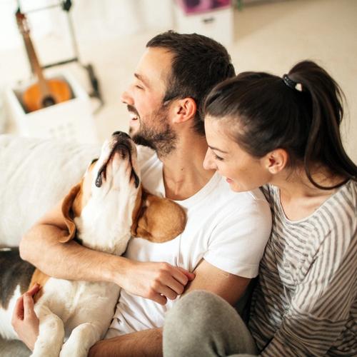 Ett par sitter i soffan med sin hund. foto.