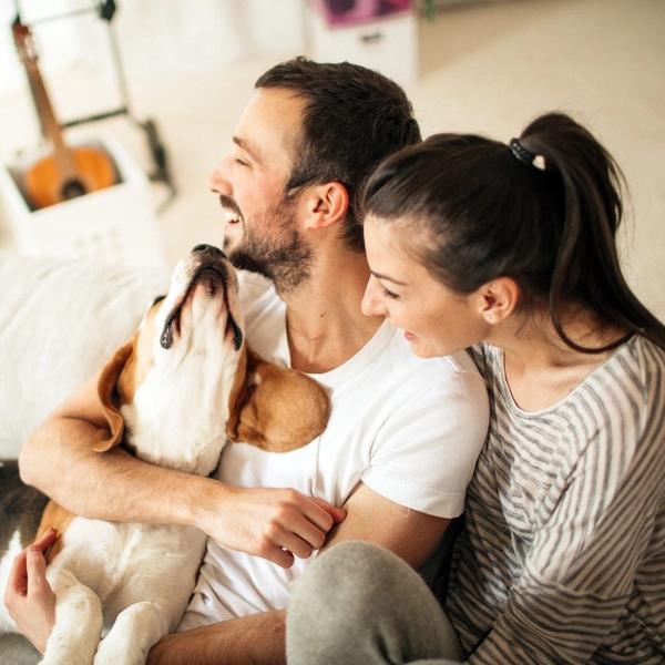 Ett par sitter i soffan med sin hund. foto.